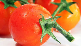 激发无限潜能的网页端ddos